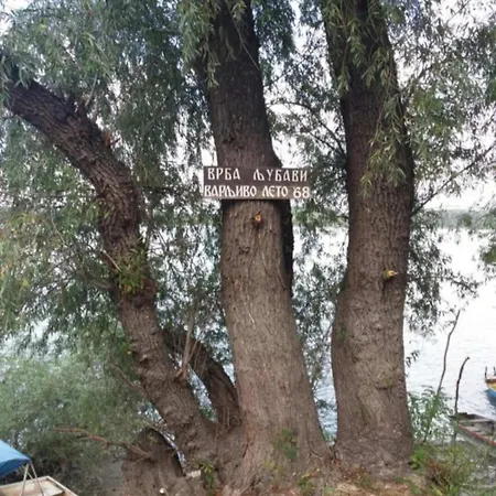 Restart Semesterbostad Cortanovci