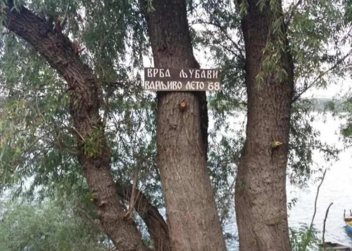 Restart Tatil Evi Cortanovci